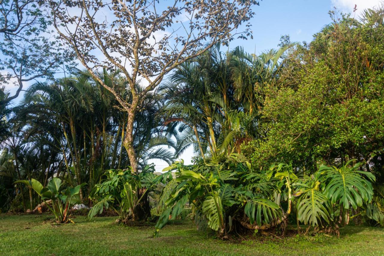Vista Lago Arenal Piedras Luaran gambar